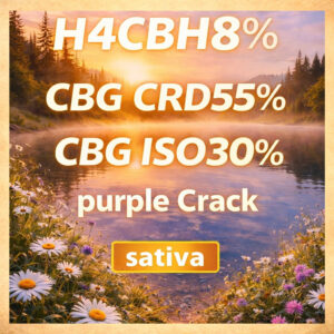 H4CBH×高濃度CBG 1ml