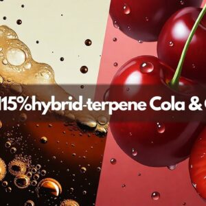 H4CBH 15%LIQUID hybrid（Cherry &Cola）